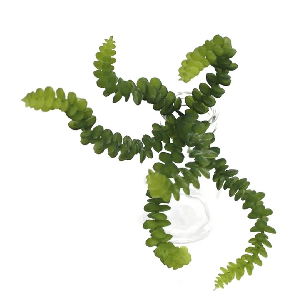 Babies Necklace Succulent 25cm