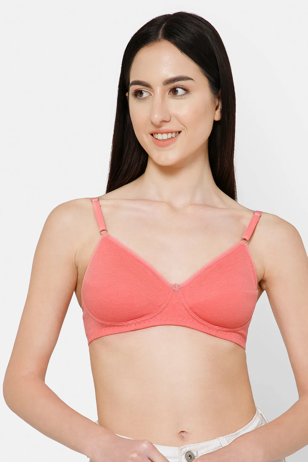 Naidu Hall Everyday Saree and Salwar Bra - Glori