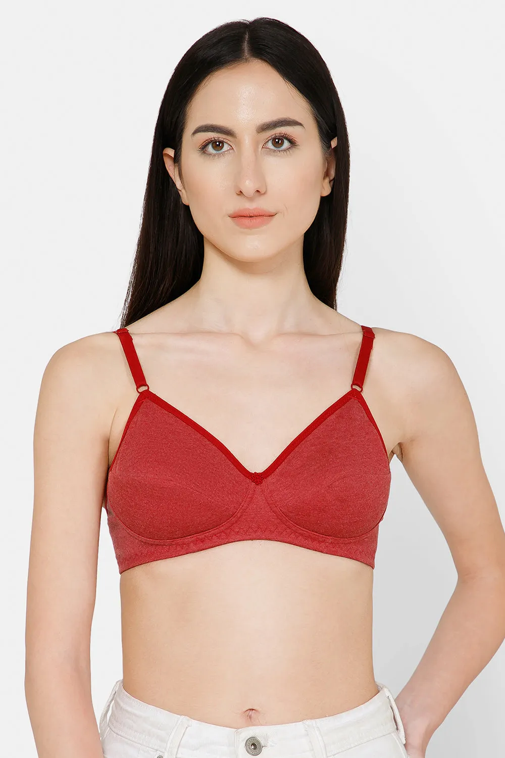 Naidu Hall Everyday Saree and Salwar Bra - Glori