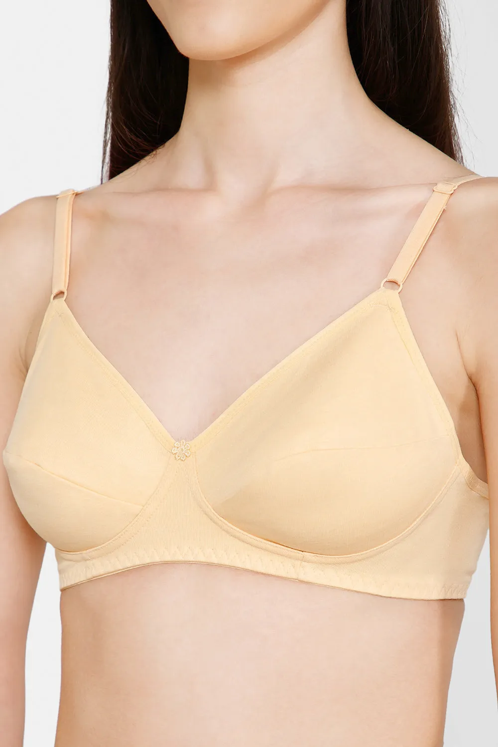 Naidu Hall Everyday Saree and Salwar Bra - Glori