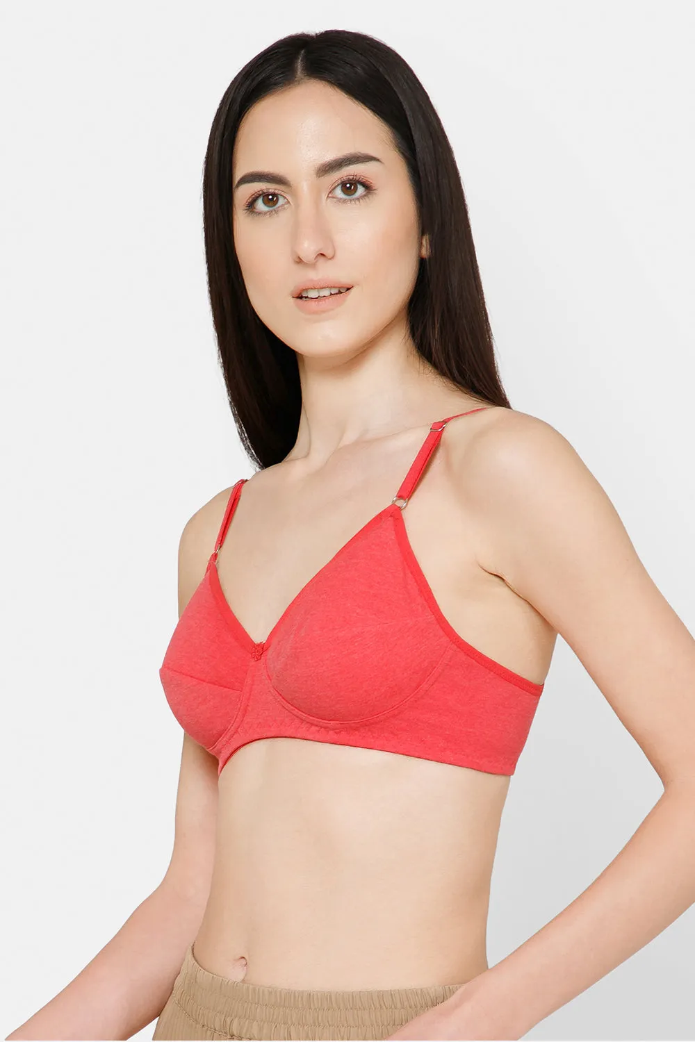 Naidu Hall Everyday Saree and Salwar Bra - Glori