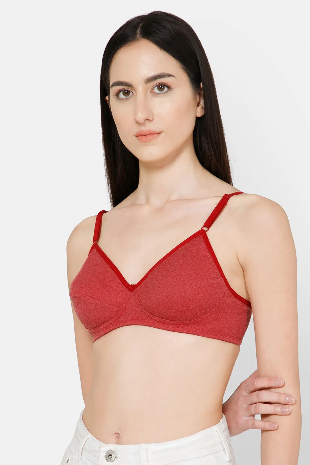 Naidu Hall Everyday Saree and Salwar Bra - Glori