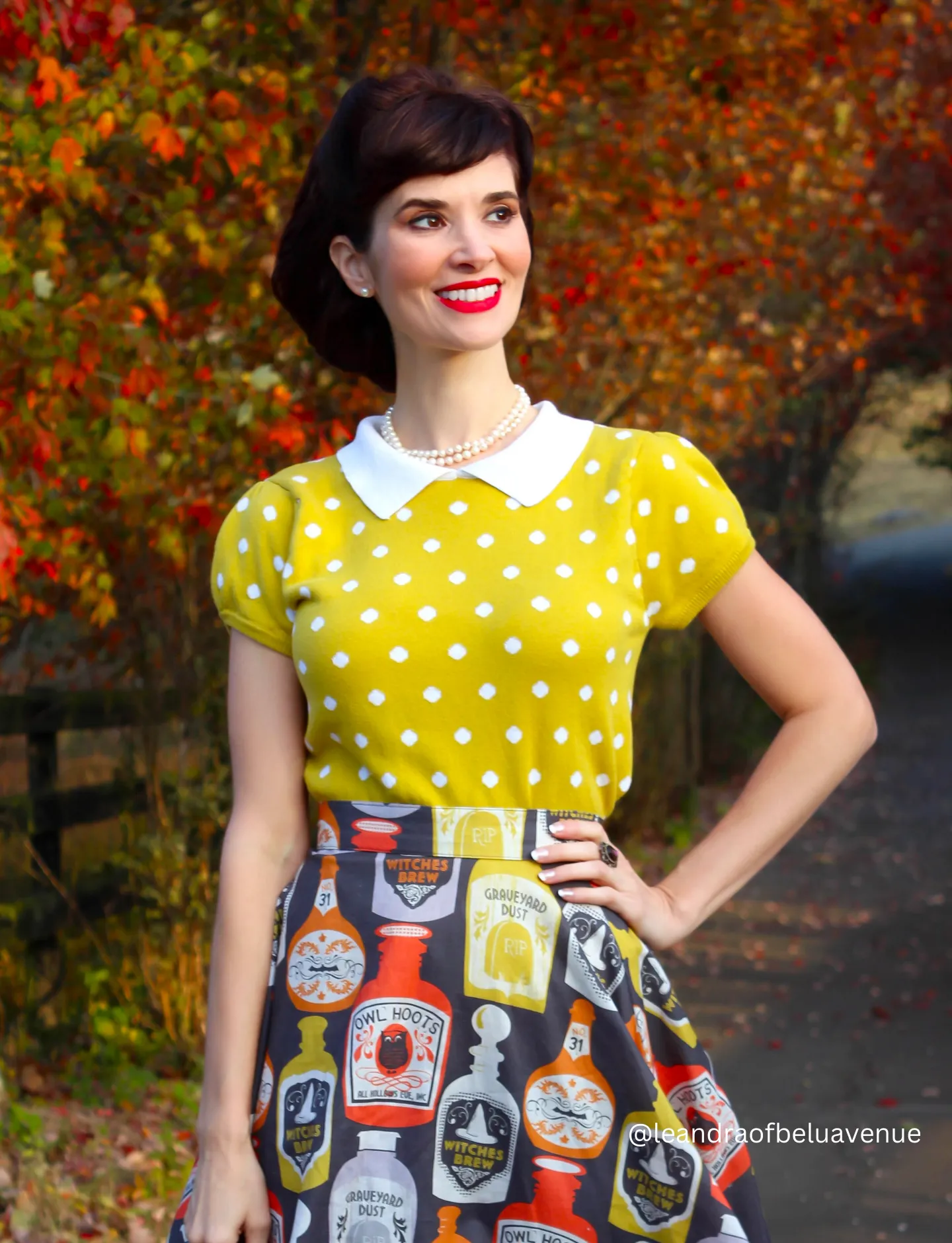 YEMAK Women's Classic Polka Dot Contrast Collar Short Sleeve Casual Pullover Sweater MK3673